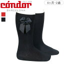 condor コンドル グログランリボン付き ニーソックス 6ヶ月〜2歳( 靴下 condor コンドル 子ども用靴下 ベビー ソックス くつ下 くつした Kn...