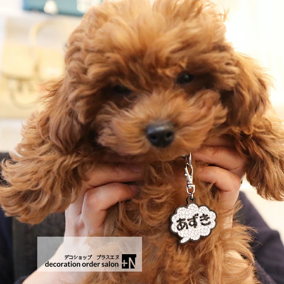 ネームプレート 犬 ネームタグ 猫 名札 おしゃれ スワロフスキー キラキラ 名入れ プレゼントにもおすすめ お好きなカラーでお作りしま sixplus-japan-10001730 Amiro Japan パッケージ画像