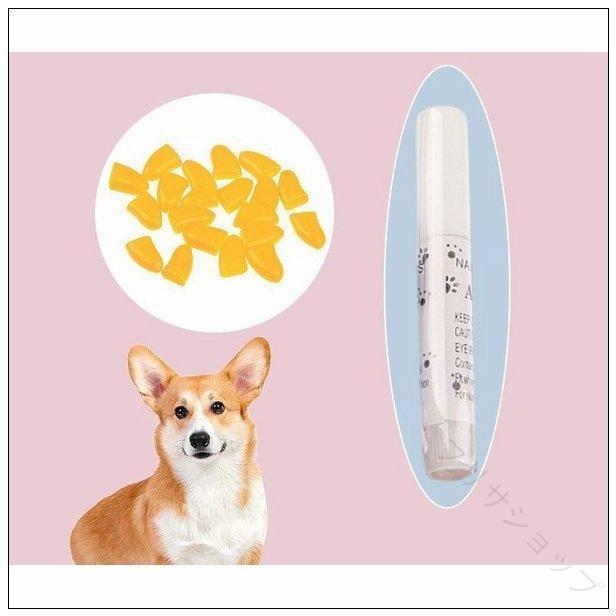 ワンちゃんの爪の保護に適のアイテムです。家具やカーテンなどのペットによる引っかきキズ防止にもおススメです。爪に優しい接着剤もセットになっております。数量20粒入り※ご利用時のご注意※普段からの行動や性格をお見極めいただき、安全にご使用くださいますようお願いいたします。誤食等に十分ご注意ください。サイズについて画像をご参照ください。素材についてプラスチック 【原産国／製造国: 中国】 .ネイルキャップ ネイルカバー 犬用 ペット 愛犬 犬 爪の保護 滑り止め 家具 床 ソファー カーテン 引っかき防止 カラフル 無地 シンプル 可愛い 小型犬 中型犬 大型犬 爪保護用品 ケガ防止 爪折れ防止 爪噛み防止 ペット用品 犬用グッズ お手入れ便利 滑り止め効果 爪ケア 引っ掻き対策 犬の安全 保護カバー 犬用アクセサリー 人気 セール おすすめ。 指定された配送時間は承っておりません。【プリサショップ】