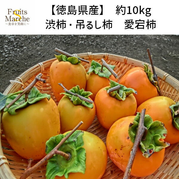 【送料無料！】渋柿 吊るし柿 愛宕柿 あたご柿 干し柿 用 柿 かき 約10kg 徳島県産 送料無料（北海道・沖縄県は別途送料加算）のサムネイル