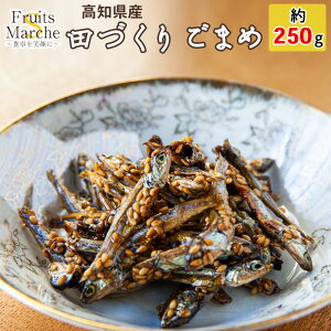 【送料無料】【高知県産】田作り ごまめ 約250g【ネコポス】