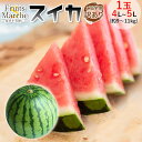 【送料無料】【産地厳選】訳あり スイカ 4L~5Lサイズ 1玉入 約9~11kg(北海道沖縄別途送料加算)