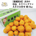 【送料無料】【愛媛県産】訳あり 中島のカラマンダリン 大きさお任せ 約5kg(北海道沖縄別途送料加算)