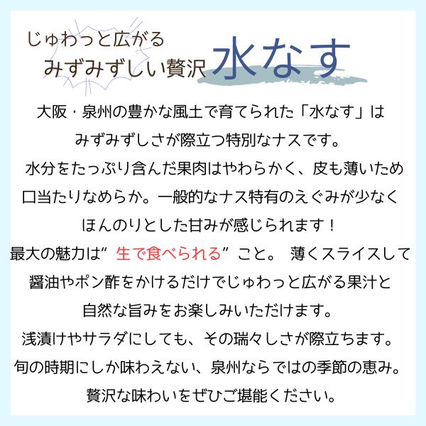 【送料無料】【大阪泉州産】訳あり 水なす 大きさお任せ 風袋込み 約4kg(北海道沖...