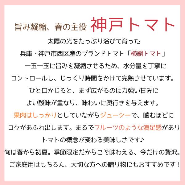 サンプル画像2