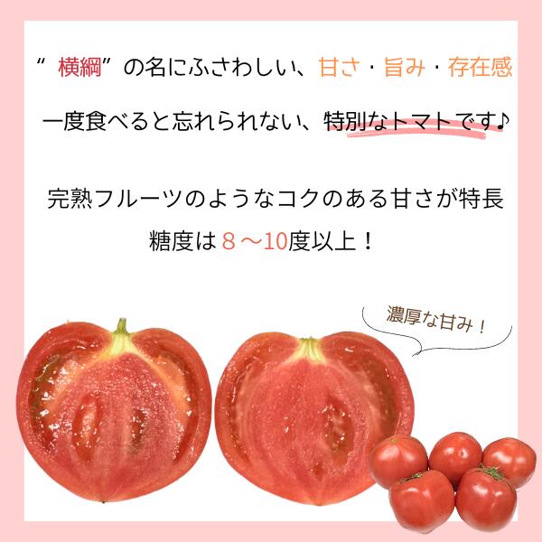 サンプル画像3
