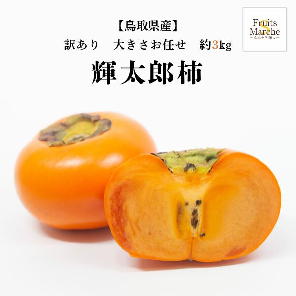 クリスマス　ケーキ　ギフト　限定　クリスマスプレゼント　子供　旦那　妻　交換　おせち　予約　詰め方　レシピ　おせち　中身　喜ばれる　お歳暮　時期　ランキング　上司　忘年会　出し物　敬老の日　メッセージ　プレゼント　手作り　運動会　お弁当箱　弁当　前日　非常食　おいしい　こたつ　栗　ごはん　ゆで方　保存　ハロウィン　お菓子　七五三　お祝い　お盆　お供え　東京　神戸　土産　バーベキュー　食材　キャンプ　ソロキャンプ　いつまで　お中元　のし　梅酒　作り方　梅　シロップ　梅ジャム　父の日　父親　義母　お母さん　母の日　嬉しいこと　いつ　こどもの日　初節句　入学祝い　ひな祭り　花見　引越し祝い　ホワイトデー　お返し　相場　まとめ買い　バレンタイン　ラッピング　バレンタインデー　成人式　お返し 名称訳あり　輝太郎　柿産地名鳥取県産内容量約3kg送料送料無料 北海道沖縄別途送料加算保存方法冷暗所・冷蔵庫にて新鮮なうちにお召し上がりください。【送料無料】【鳥取県産】訳あり 輝太郎　柿　大きさおまかせ　約3kg(北海道沖縄別途送料加算) 輝太郎は平均300g程の大玉で、糖度も平均で17％にもなるとされていますご家庭用/かき/カキ/種無し/訳有/訳アリ/ワケあり/敬老の日/冬の味覚/お歳暮/歳暮/果物/フルーツ/デザート/スムージー 【輝太郎の特徴】 輝太郎は平均300g程の大玉で、糖度も平均で17％にもなるとされています。形は上から見ると角が無くまるい形をしており、高さはあまりなく平たい形をしています。開発した試験場によると、無核果や種子数の少ない果実の場合、果芯部に空洞ができやすく、その空洞の周りが黒くなることもあるとされており、それを避け種が出来るように授粉樹の混植が必要とされています。 糖度はなんと脅威の平均17％の圧倒的甘さ！ 鳥取県オリジナル品種 非常に食味が優れる品種で高価で希少な柿 いつも大変お世話になっております！菜Sフルーツマルシェの店長です♪今回、ご紹介をさせて頂きますのは輝太郎柿になっております。柿は旬の時期を問わずに美味しいですよ！是非、一度ご賞味下さいませ！ 1