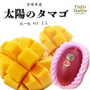【送料無料】【宮崎県産】太陽のタマゴ 2L~3Lサイズ 1玉(北海道沖縄別途送料加算)