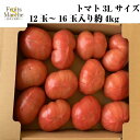 【送料無料】【産地厳選】トマト 3Lサイズ 12玉~16玉入り 約4kg(北海道沖縄別途送料加算)