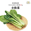 【送料別】【兵庫県産】小松菜 大きさお任せ 1束 約200g【野菜詰め合わせセットと同梱で送料無料】