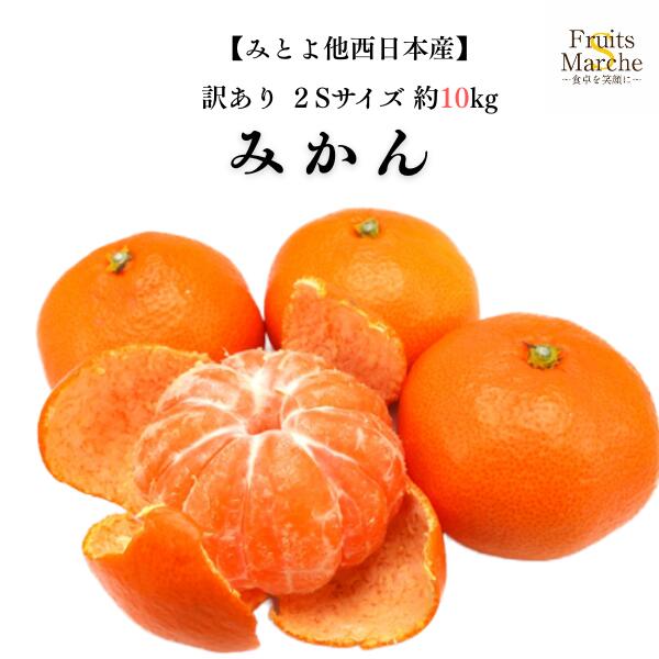 【送料無料】【みとよ他西日本産】訳あり みかん 2Sサイズ 約10kg(北海道沖縄別途送料加算)