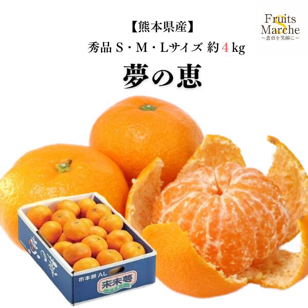 【送料無料】みかん 夢の恵 秀品 4kg S・M・Lサイズ 糖度 12 以上 甘い 夢のめぐみ 夢の恵みかん 熊本県産 送料無料 （北海道・沖縄県..