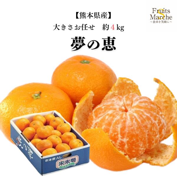 【送料無料】みかん 夢の恵 4kg 糖度 12 以上 甘い 夢のめぐみ 夢の恵みかん 大きさお任せ 熊本県産 送..