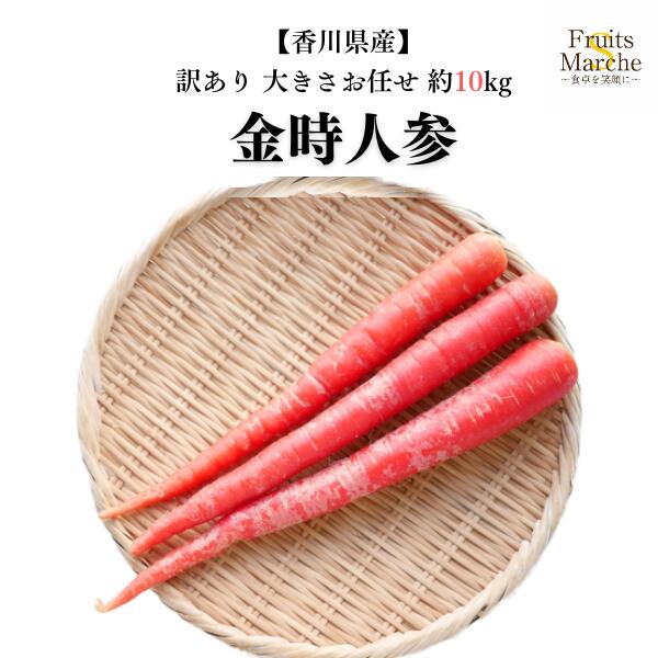 【送料無料】【香川県産】訳あり金時人参 大きさお任せ 約10kg(北海道沖縄別途送料加算)
