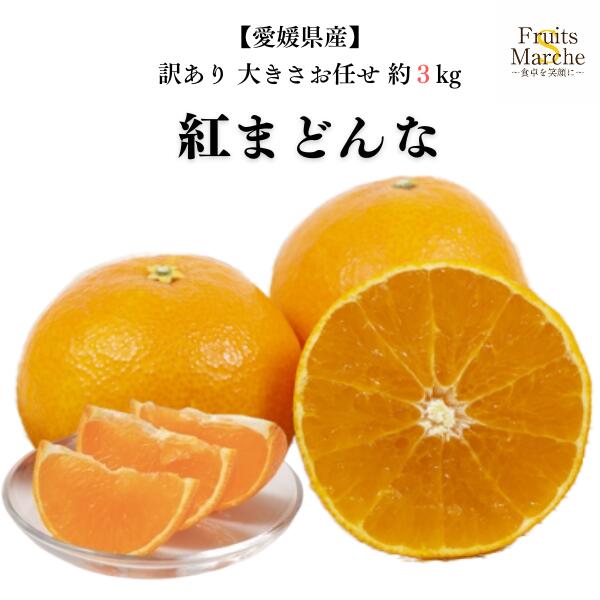 ̵۹Ȥޤɤ ߤ 3kg  礭Ǥ 1Ȣ ɲ  ̵̳ƻ츩û