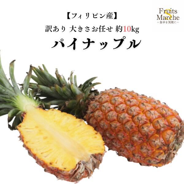 【送料無料】【フィリピン産】パイナップル　大きさお任せ　約1