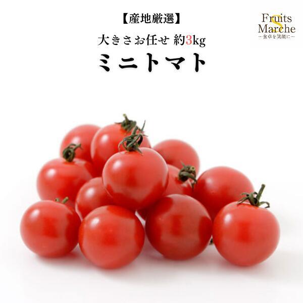 楽天市場】ミニトマト 訳あり（総重量（野菜）3.0 ～ 3.9kg）の通販