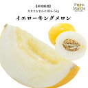 【送料無料】【産地厳選】イエローキングメロン 大きさお任せ 約4~5kg(北海道沖縄別途送料加算)