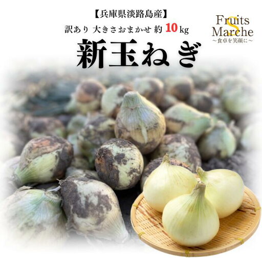 【送料無料!】訳あり新玉ねぎ 兵庫県淡路島産 10kg 大きさお任せ 新玉ねぎ 玉ねぎ たまねぎ 訳あり 送料無料(北海道・沖縄県は別途送料加算) 【送料無料!】訳あり新玉ねぎ 兵庫県淡路島産 10kg 大きさお任せ 新玉ねぎ 玉ねぎ たまねぎ 訳あり 送料無料(北海道・沖縄県は別途送料加算)