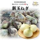 【送料無料】【兵庫県淡路島産】秀品 新玉ねぎ 中玉~大玉 約10kg(北海道沖縄別途送料加算)