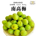【送料無料】【和歌山県産】紀州特撰 南高梅 3L以上 約3kg(北海道沖縄別途送料加算)