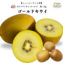 【送料無料!】ゼスプリ サンゴールドキウイフルーツ ニュージーランド産 3kg キュウイ キウイフルーツ キィウイフルーツサンゴールド 送料無料(北海道・沖縄県...