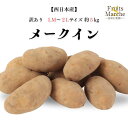 【送料無料】【西日本産】訳あり メークイン LM~2Lサイズ 約5kg(北海道沖縄別途送料加算)