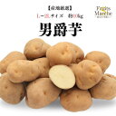 【送料無料】【産地厳選】男爵芋 L〜2Lサイズ 約10kg(北海道沖縄離島別途送料加算)