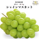 【送料無料!】シャインマスカット ぶどう 約2kg 訳あり 大きさお任せ 産地厳選 送料無料 (北海道・沖縄県は別途送料加算)