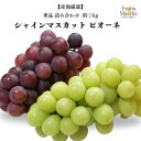 【送料無料!】シャインマスカット ピオーネ 詰め合わせ ぶどう 約2kg 秀品 大きさお任せ 産地厳選 送料無料 (北海道・沖縄県は別途送料加算)