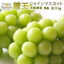 【送料無料!】シャインマスカット 晴王 岡山 ぶどう 約2kg 秀品 大粒限定 高糖度 岡山県産 送料無料 (北海道・沖縄県は別途送料加算)
