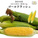 【送料無料】【西日本産】ゴールドラッシュ 1箱 約4kg(北海道沖縄別途送料加算)