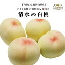 【クール便送料無料】和歌山県産他岡山県産 清水の白桃 化粧箱入 約2kg(北海道沖縄別途送料加算)