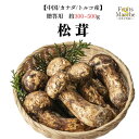【送料無料】【中国/カナダ/トルコ産】贈答用 高級 松茸 約300g〜500g(北海道沖縄別途送料加算)