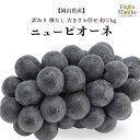 【送料無料】【岡山県産】訳あり 種なしニューピオーネ 大きさお任せ 1箱 約2kg(北海道沖縄別途送料加算)