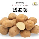 【送料無料】【産地厳選】馬鈴薯 L〜2Lサイズ 約10kg(北海道沖縄離島別途送料加算)