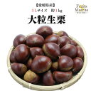 【2kg以上ご購入で送料無料!】栗 生栗 大粒 1kg 愛媛県産 3Lサイズ 生 くり (1kgの御注文は別途送料加算 / 北海道・沖縄県は別途送料加算)