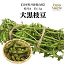 予約販売【10月中旬より順次に発送】【送料無料!】枝付き大粒黒豆枝豆 黒枝豆 黒豆枝豆 枝豆 枝付き 約1kg えだまめ 丹波篠山 兵庫県産 送料無料 (北海道・沖縄県は別途送料加算)