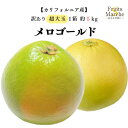 【送料無料】メロゴールド グレープフルーツ 超大玉 約5kg 訳あり メローゴールド アメリカ カリフォルニア産 送料無料(北海道・沖縄県は別途送料加算)