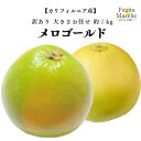 【送料無料】訳あり メロゴールド グレープフルーツ 大きさお任せ 約5kg 1箱 メローゴールド アメリカ カリフォルニア産 送料無料(北海道・沖縄県は別途送料...