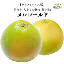 【送料無料】メロゴールド グレープフルーツ 約10kg 訳あり 大きさお任せ メローゴールド アメリカ カリフォルニア産 送料無料(北海道・沖縄県は別途送料加算...