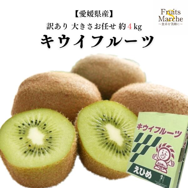 【送料無料】【愛媛県産】訳あり グリーンキウイフルーツ 大きさおまかせ 風袋込 約4kg(北海道沖縄別途..