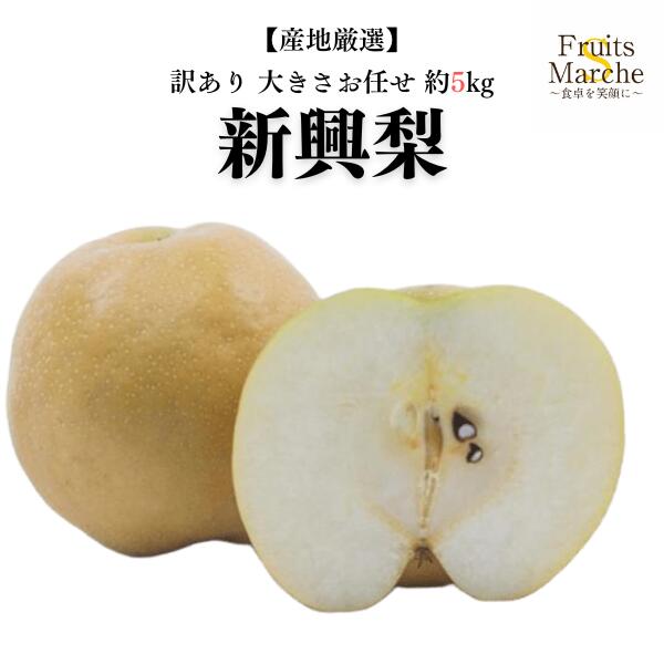【送料無料】【産地厳選】新興梨(しんこうなし) 大きさおまかせ 約5kg(北海道沖縄別途送料加算)