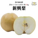 【送料無料】【産地厳選】新興梨(しんこうなし) 大きさおまかせ 約10kg(北海道沖縄別途送料加算)