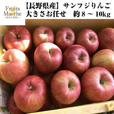 【あす楽】【送料無料】【長野県産】訳ありサンふじりんご 大きさお任せ 約8〜10kg(北海道沖縄別途送料加算)