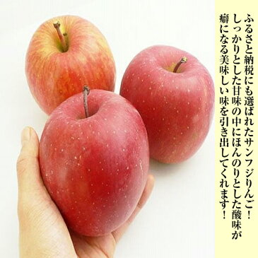 【あす楽】【送料無料】【長野県産】訳ありサンふじりんご 大きさお任せ 約8〜10kg(北海道沖縄別途送料加算)