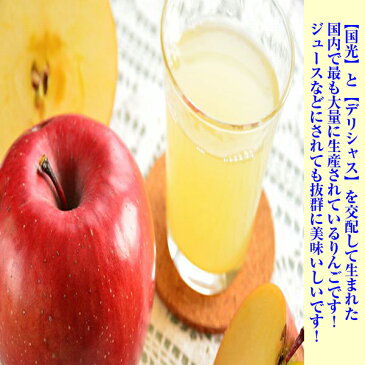 【あす楽】【送料無料】【長野県産】訳ありサンふじりんご 大きさお任せ 約8〜10kg(北海道沖縄別途送料加算)