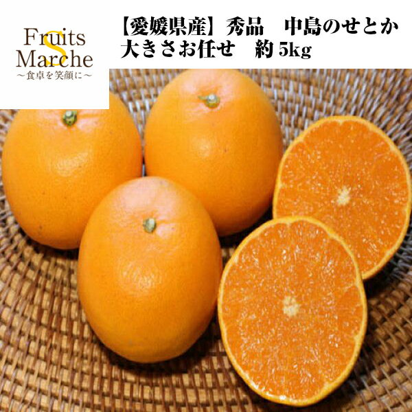 【送料無料】【愛媛県産】秀品 中島のせとか 大きさお任せ 約5kg(北海道沖縄別途送料加算)みかん/ミカン/フルーツ/セトカ/蜜柑/清見/愛媛/アンコール/濃厚/柑橘/大トロ/ジューシー/スムージー/ジャム/ジュース/スマイルカット/果物/中島育ち/テレビで話題の