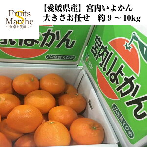 【送料無料】【愛媛県産】宮内いよかん　大きさお任せ　約9〜10kg(北海道沖縄別途送料加算)