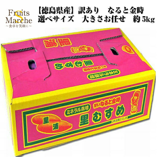 【送料無料】【徳島県産】訳あり なると金時 里むすめ 選べるサイズ 約5kg(北海道沖縄別途送料加算)